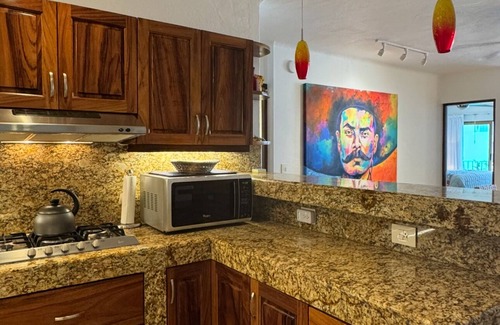 Amapas Condo | Escape from it all! Ocean view condo at La Palapa on famous Los Muertos Beach