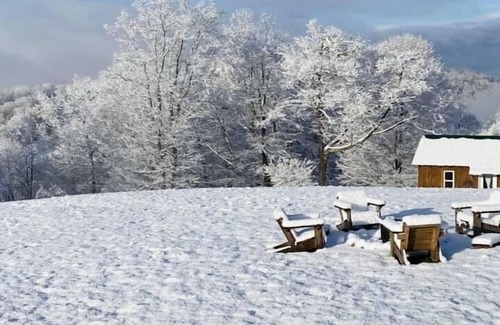 Thorn Hill Cabin | Escape life’s busyness at Bear in Mind cabin