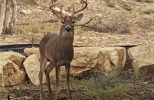 Canyon Lake Cabin | Escape to a peaceful retreat in the Texas Hill Country Just south of Canyon Lake