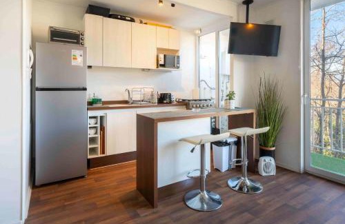Pucon Apartment | Esencia Pucon 2BR Parking and Wifi