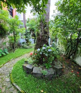 Santos House | Espaço, natureza e clima familiar