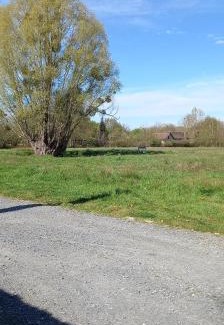 Beaufay Other | Espace au calme au bord d'un plan d'eau
