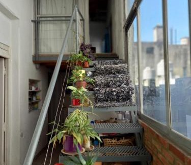 Chacarita House | Espacio de arte físico