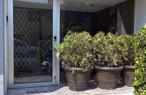 Churubusco Apartment | Espacio San Pedro, the place where you always wanted to go