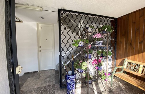 Churubusco Apartment | Espacio San Pedro, the place where you always wanted to go