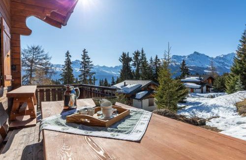 Vex Ski Chalet | Esperanza SKI IN & SKI OUT chalet 8 pers