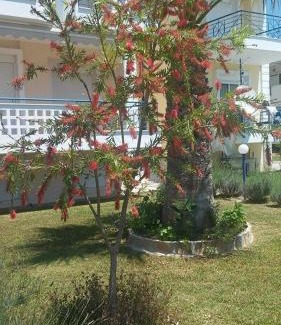 Skala Fourkas Apartment | Esperides Villas