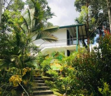 Ella Hotel | ESSPEEDY Hill Forest Cottages and Yoga Centre