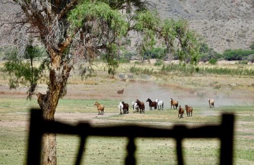 Molinos Cabin | Estancia Banda Grande - horse & hiking safaris