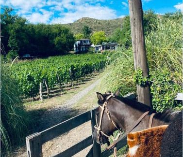 Cuyo House | Estancia San Pablo