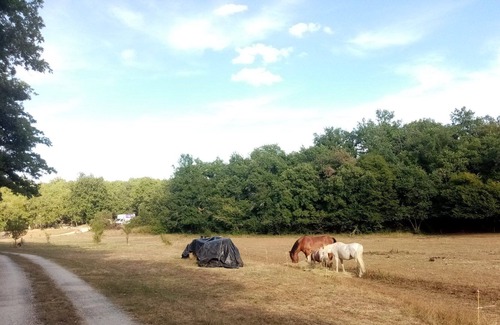 Brouchaud House | Estate in the middle of nature in a quiet area for 12/15 people (400m2 on 2 levels)