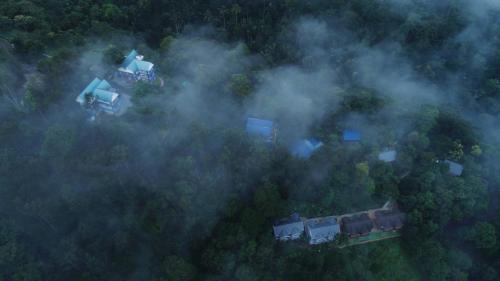 Udumbanchola Resort | Eterno Camellia & Elettaria Resort with Pool