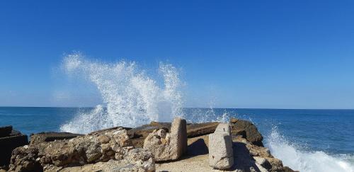 Haifa Apartment | Etis garden seafront