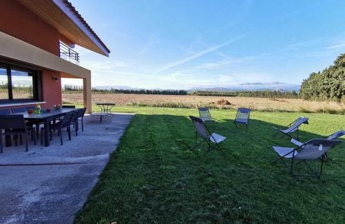 Thuir House | Eucalyptus
