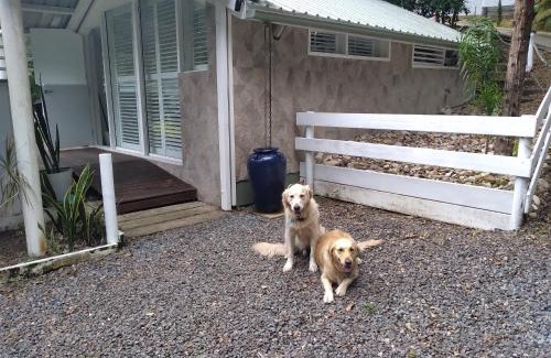 Eumundi Bed & Breakfast | Eumundi Yacht Club B&B