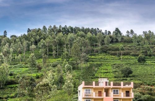 Kotagiri House | Eureka Hillside Hideaway