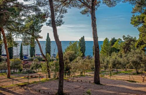 Borik Resort | Eurocamp Mobile Homes at Campsite Porton Biondi