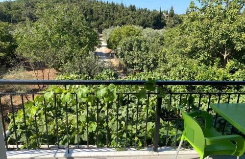 Jala Apartment | Eva & Resul apartments
