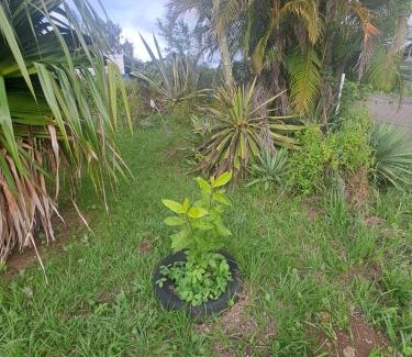 Rodrigues Island Villa | Evasion Maragon