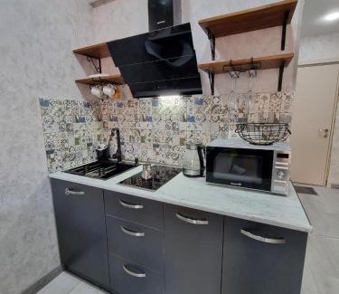 Kazbegi Apartment | Evdo Apartments F2 Lovely Studio