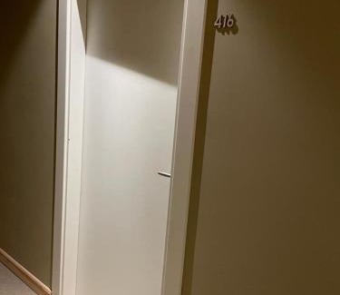 Kazbegi Apartment | Evdo Apartments Mansard in Suite