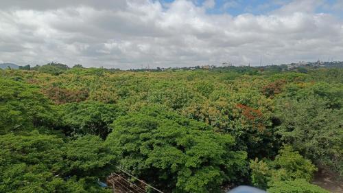 Mysore Apartment | Eve Service apartment