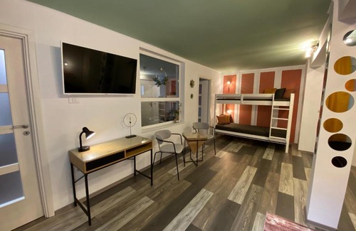 Timisoara Apartment | Evergreen Apartment