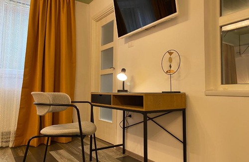 Timisoara Apartment | Evergreen Apartment