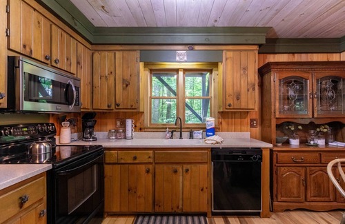 Zionville Cabin | Evergreen Escape - Pet Friendly Forest Cabin with Hot Tub!