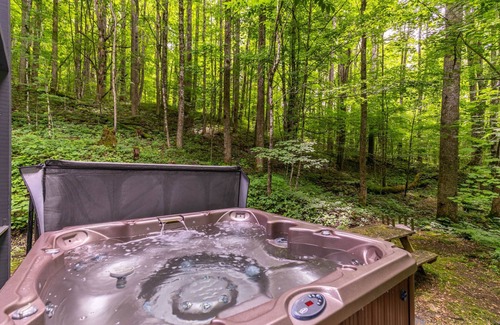 Zionville Cabin | Evergreen Escape - Pet Friendly Forest Cabin with Hot Tub!