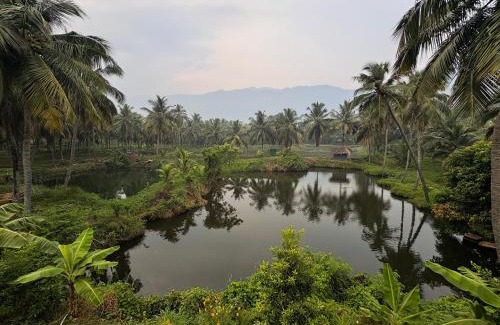 Chittur House | Evergreen Homestay