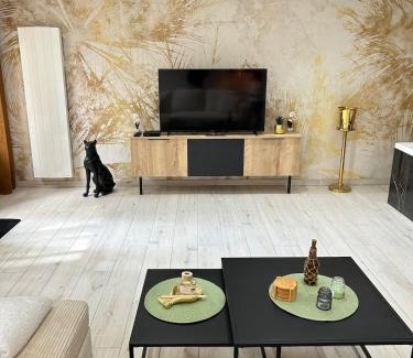 Evreux Apartment | Evreux ground floor apartment,jardin,proche hyper centre