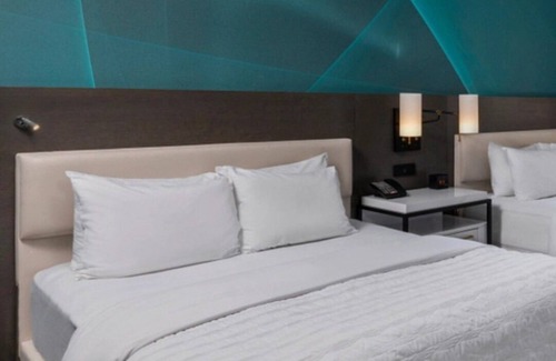 Downtown Houston Hotel | Excellent Choice! Spacious Accommodation, Pet-friendly Property, Bike Rental
