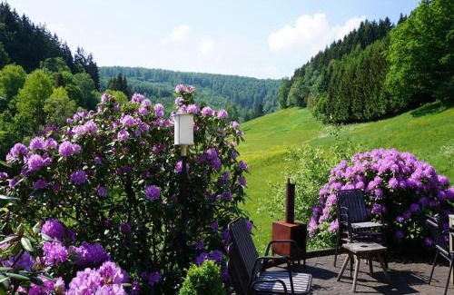 Winterberg House | Exclusive group house in Winterberg in the forest