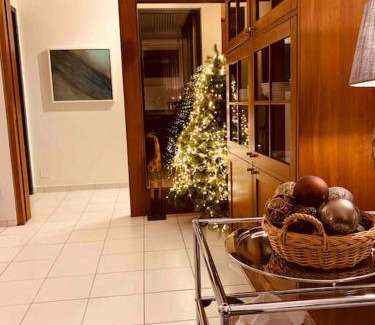 Gambarogno Apartment | Exclusive Lakeside Apartment with Amazing View