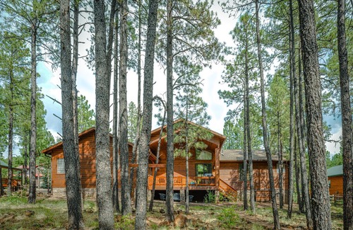 Pinetop Cabin | EXCLUSIVE RESORT CABIN IN THE GATED STARWOOD ESTATE WITH AC --SLEEPS 11