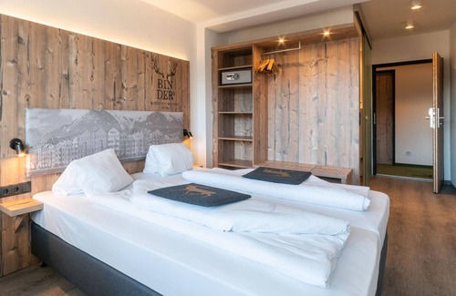 Pradl Hotel | Executive Double Room with Shower, Toilet - BinderS Budget City-Mountain Hotel