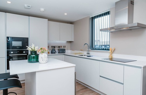 Hull Old Town Apartment | Executive Duplex Apartment Park view