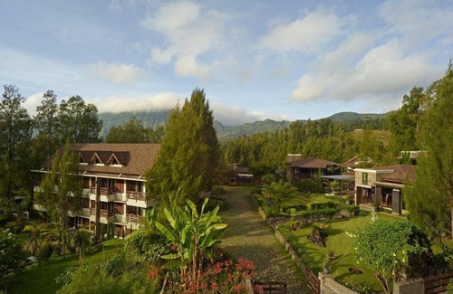 Ngadisari Apartment | Executive room at Jiwa Jawa Bromo