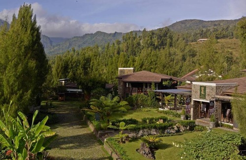 Ngadisari Apartment | Executive room at Jiwa Jawa Bromo