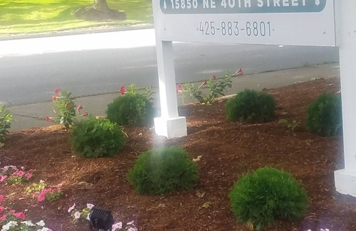 Overlake Apartment | Executive Suite 2 bd 1 bth - 1st floor