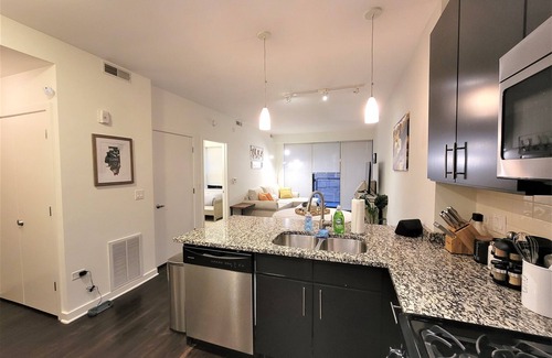 Evanston Apartment | Executively Appointed Condo, w/resort amenities, IND GAR, Pool, Gym+ Biz Lounge