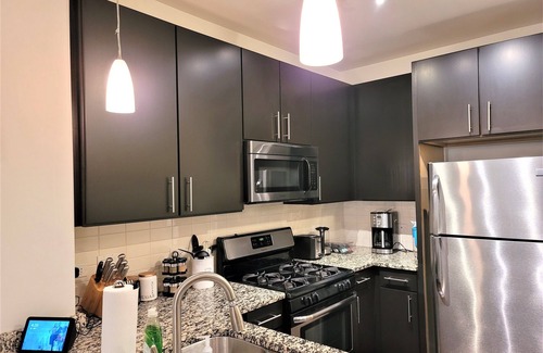 Evanston Apartment | Executively Appointed Condo, w/resort amenities, IND GAR, Pool, Gym+ Biz Lounge