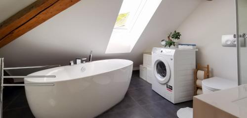 Klettgau Apartment | Exklusive Penthouse Wohnung, nahe zur Schweiz