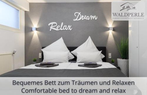 Schonach im Schwarzwald Apartment | Exklusives 5-Sterne Apartment Waldperle mit Indoor-Pool, Sauna, top Lage und Ausblick in die Natur, Hunde willkommen