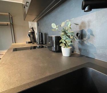 Delitzsch Apartment | Exklusives Wohnen im historischen Wasserturm dem Highlight von Delitzsch WE214