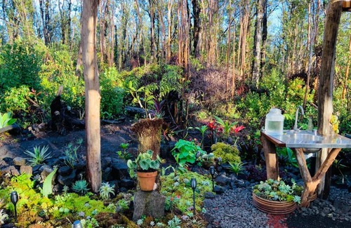 Mountain View House | Exotic Garden cottage at amazing volcano fissure