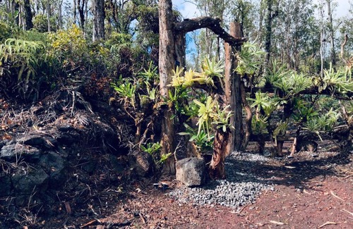 Mountain View House | Exotic Garden cottage at amazing volcano fissure
