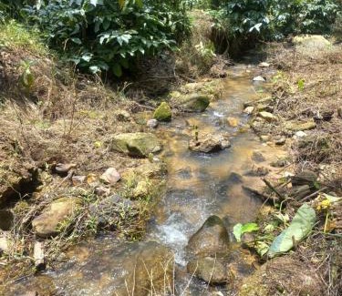 Sangameswarpet House | Experience being lost in wild