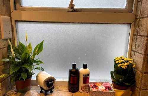 Elephant and Castle Apartment | Explore London